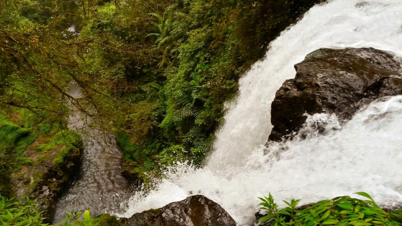 Pondok Manis Singaraja エクステリア 写真