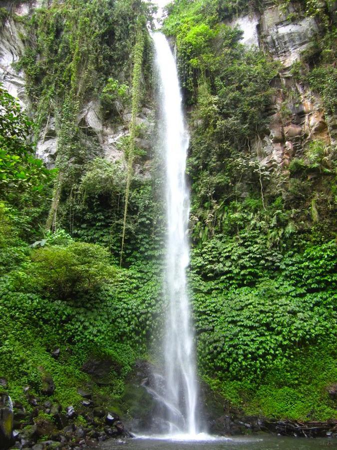 Pondok Manis Singaraja エクステリア 写真
